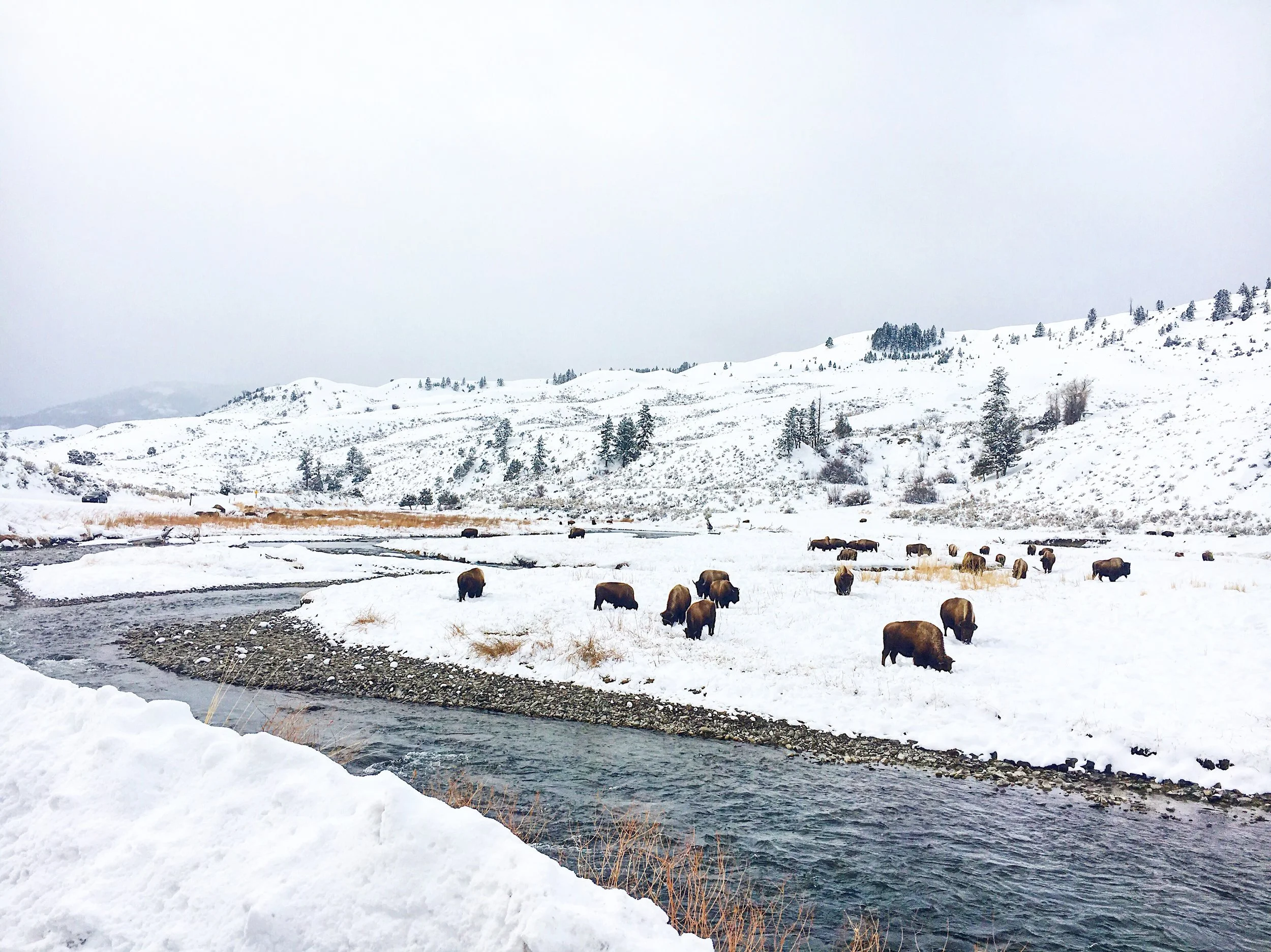 The Boiling River | Yellowstone National Park