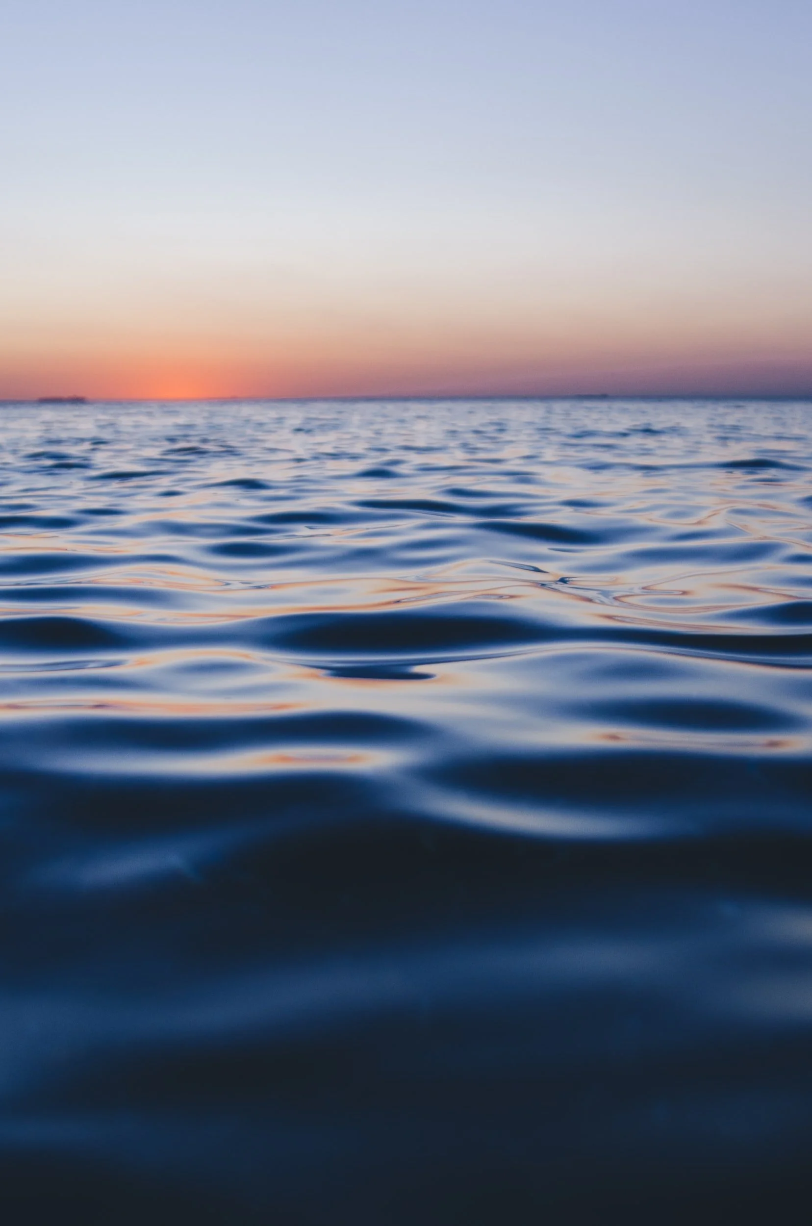 unsplash-image-rMomUnwLOQs.jpg