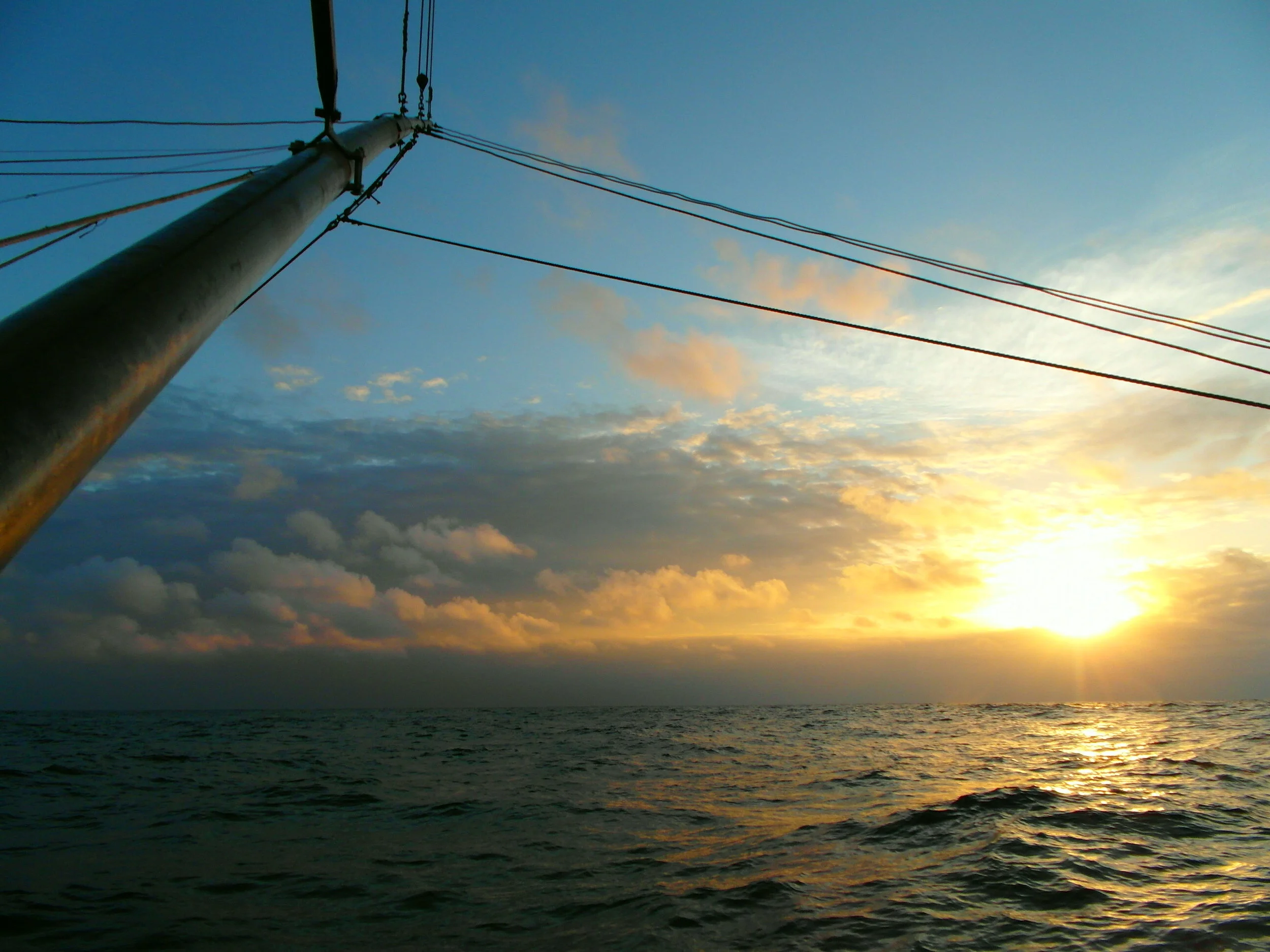 Photo by Tristan Flynn