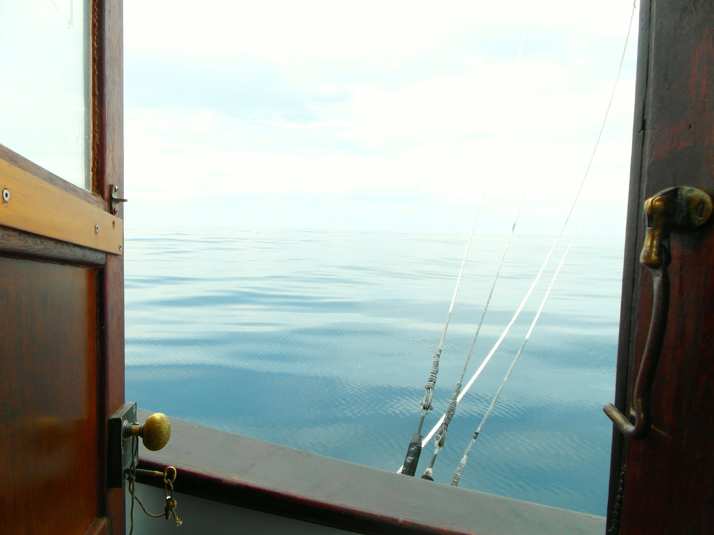 Photo by Tristan Flynn