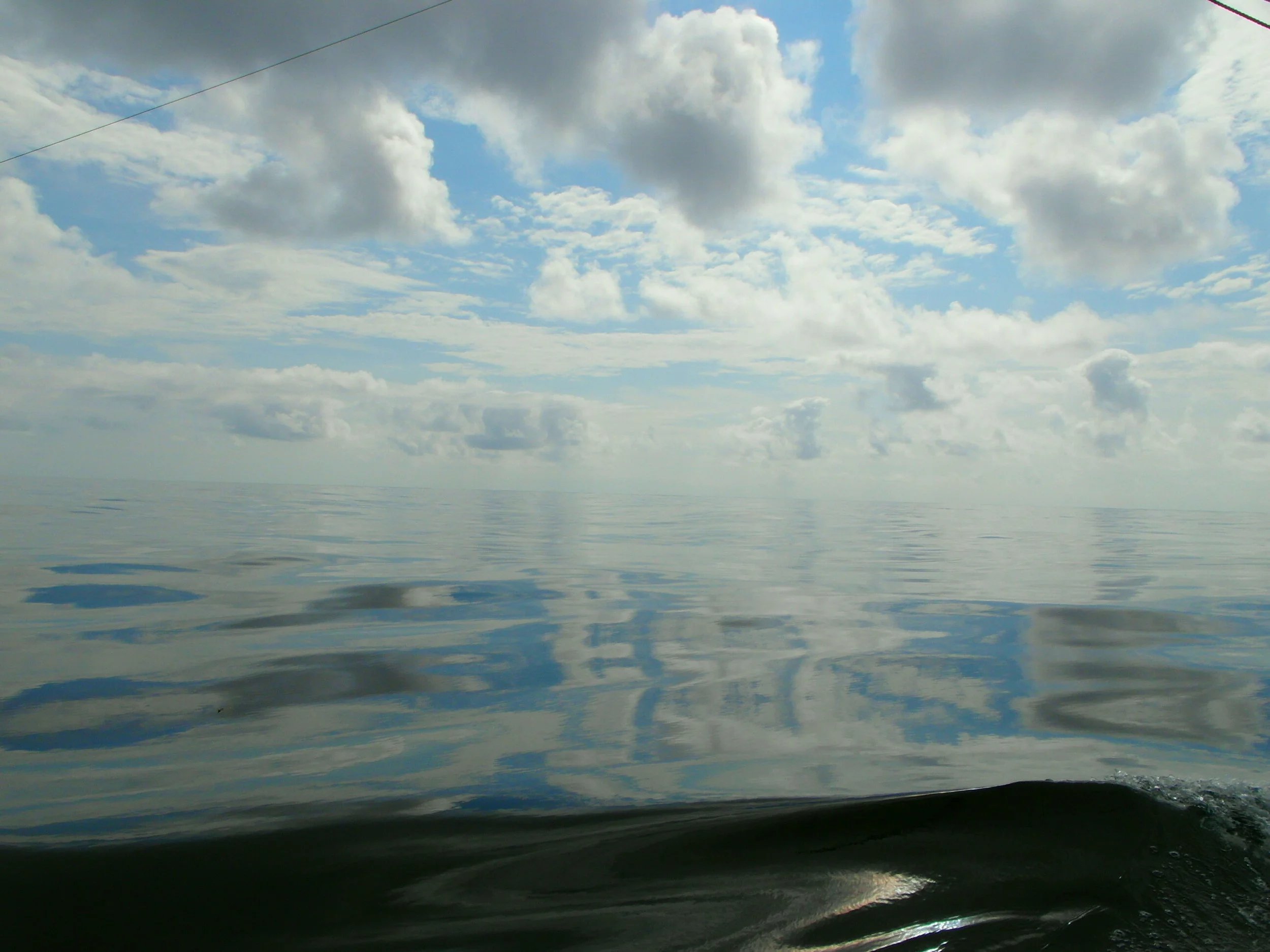 Photo by Tristan Flynn