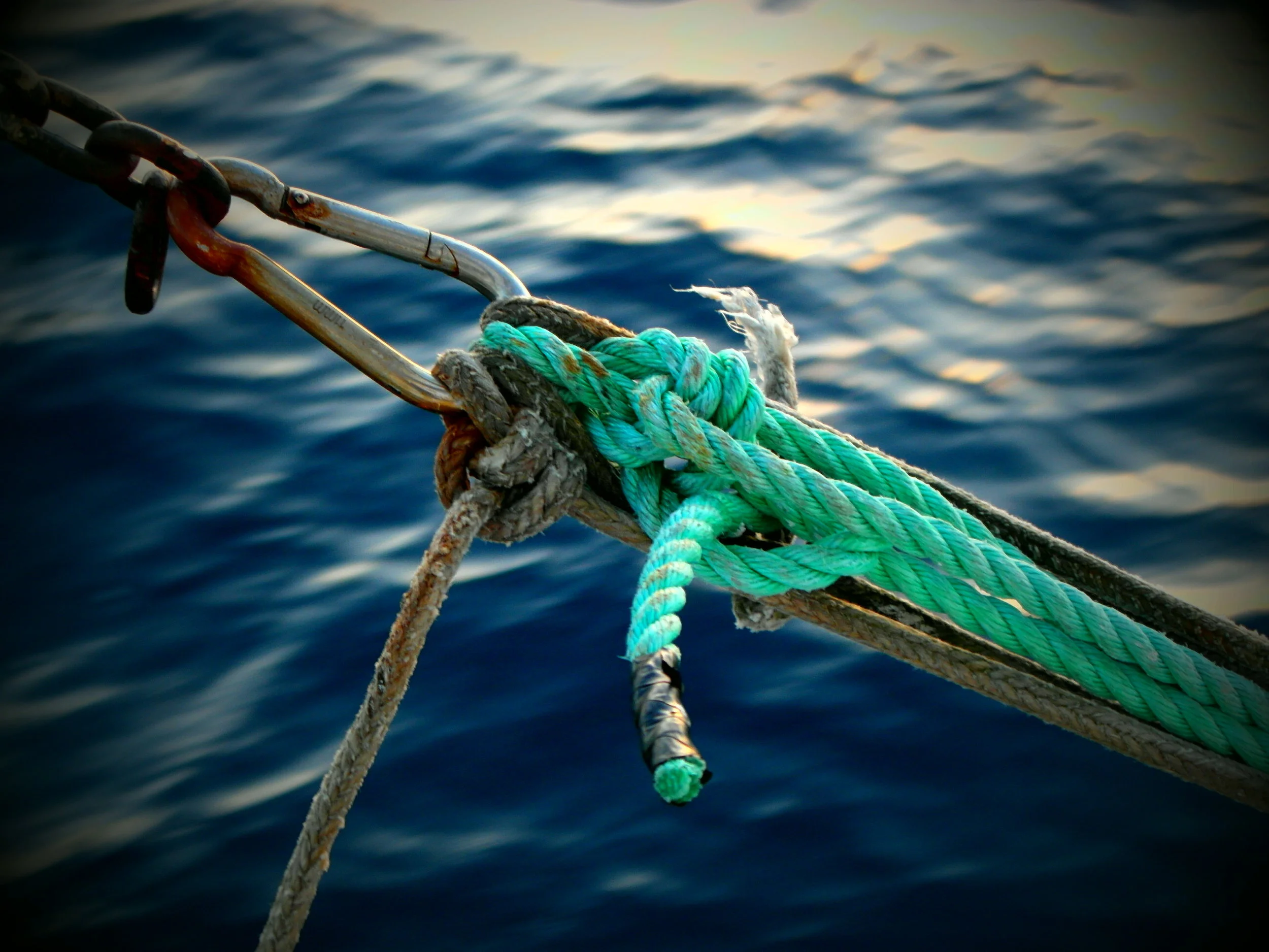 Photo by Tristan Flynn