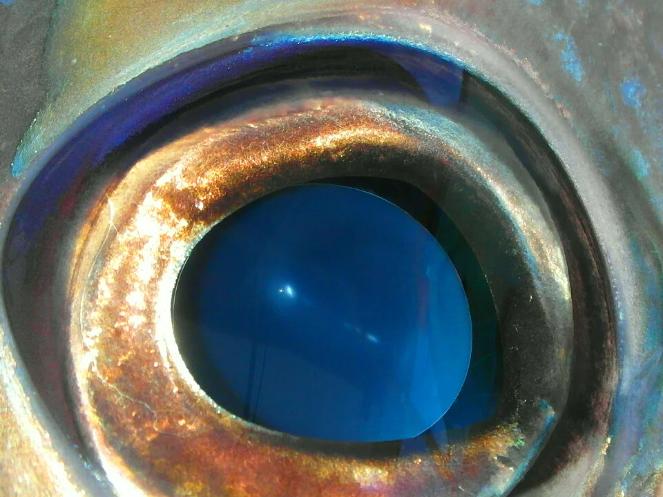 Photo by Tristan Flynn