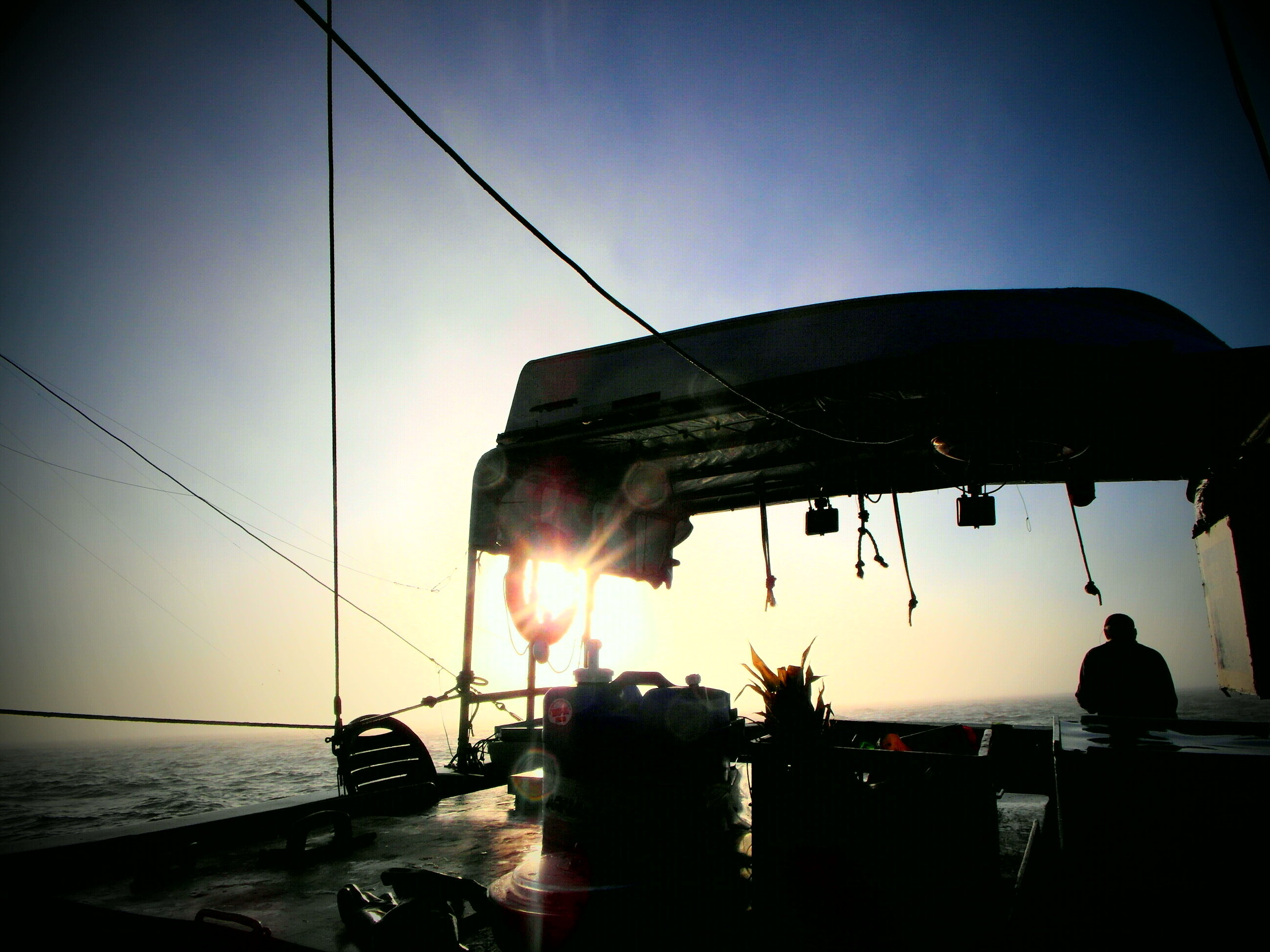 Photo by Tristan Flynn