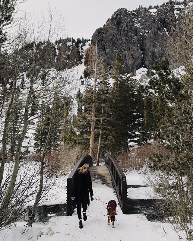 oti&rsquo;s first snow ❤️