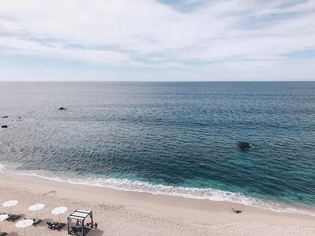 my body has physically rejected post vacation life.