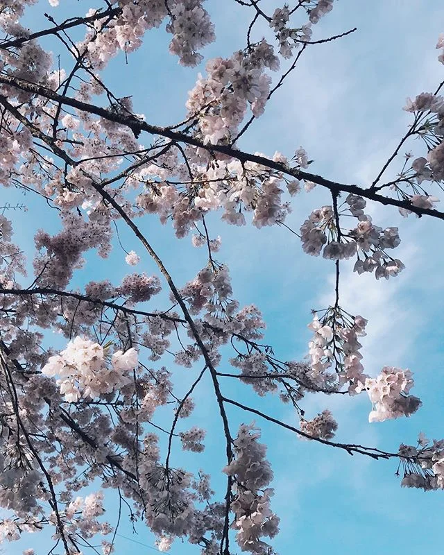 (as cheesy as it sounds) there will always be sunshine after the rain | literally though it&rsquo;s been raining for 5 days &amp; we got a little this