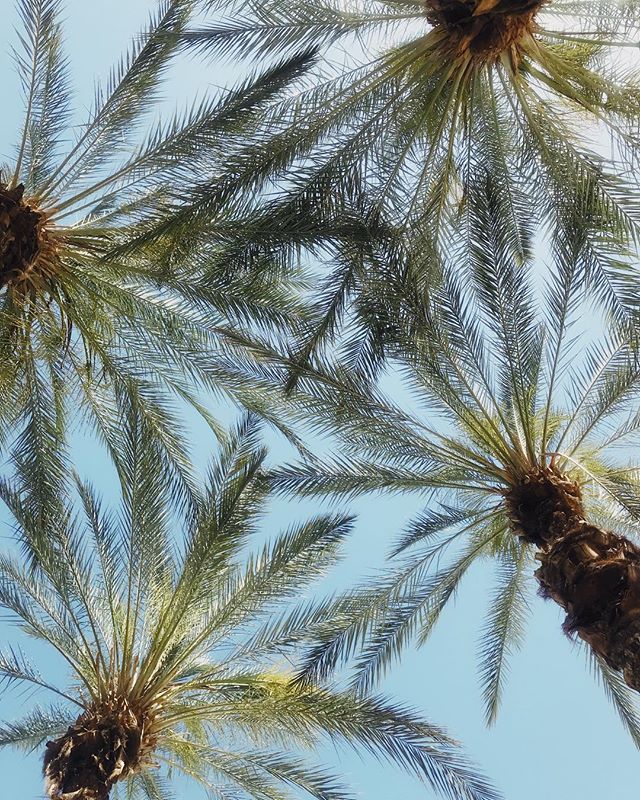 can find me here 〰️