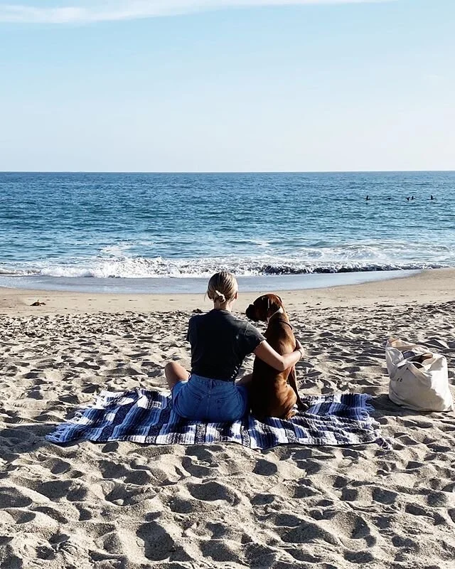 today was a good day. bring it on 31.