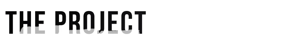 The-project-white.jpg