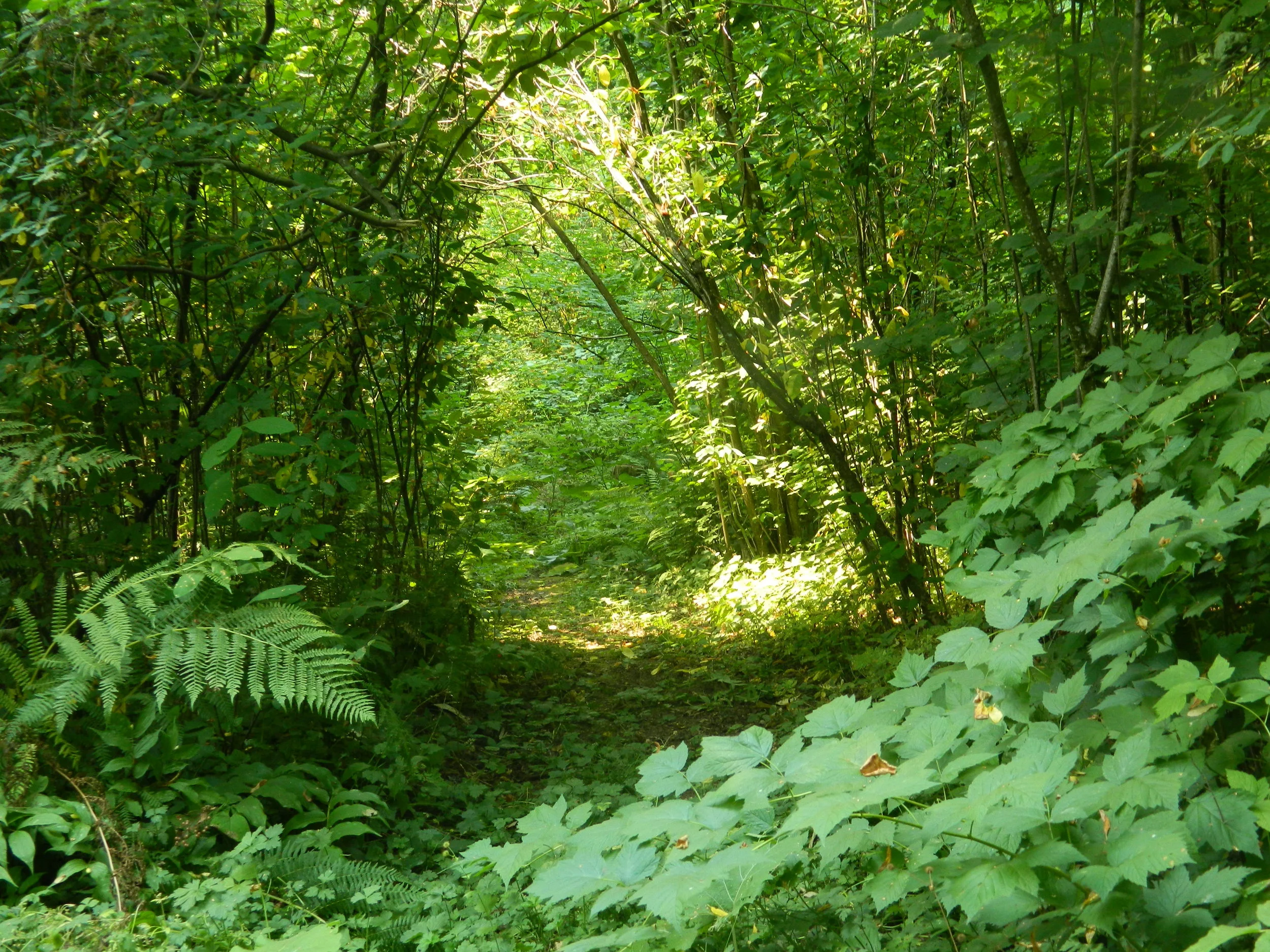 DSCN3791.JPG