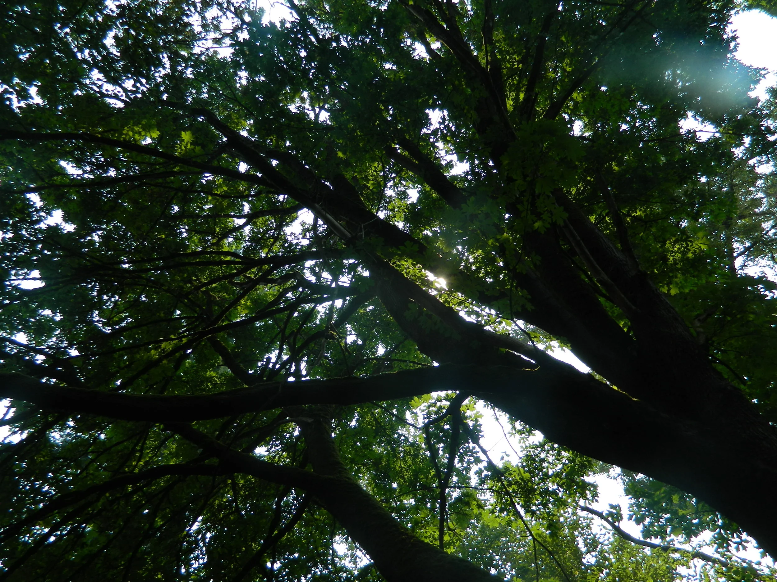 DSCN3793.JPG