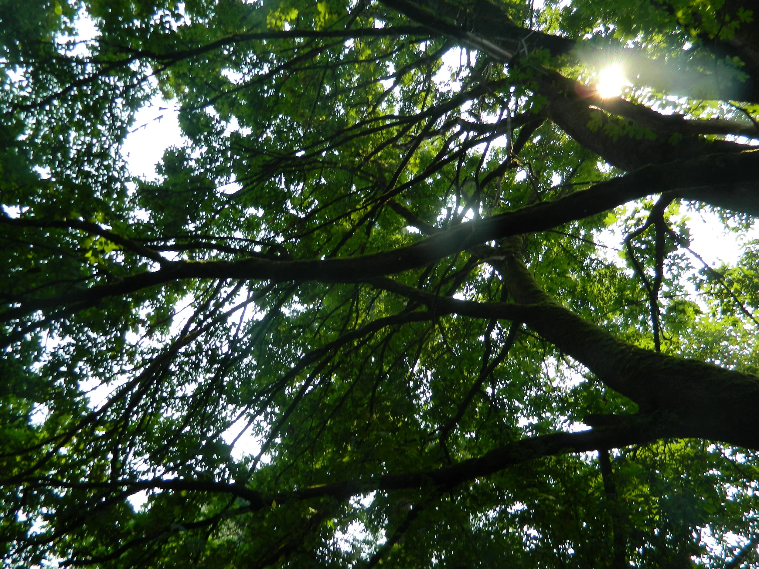 DSCN3795.JPG