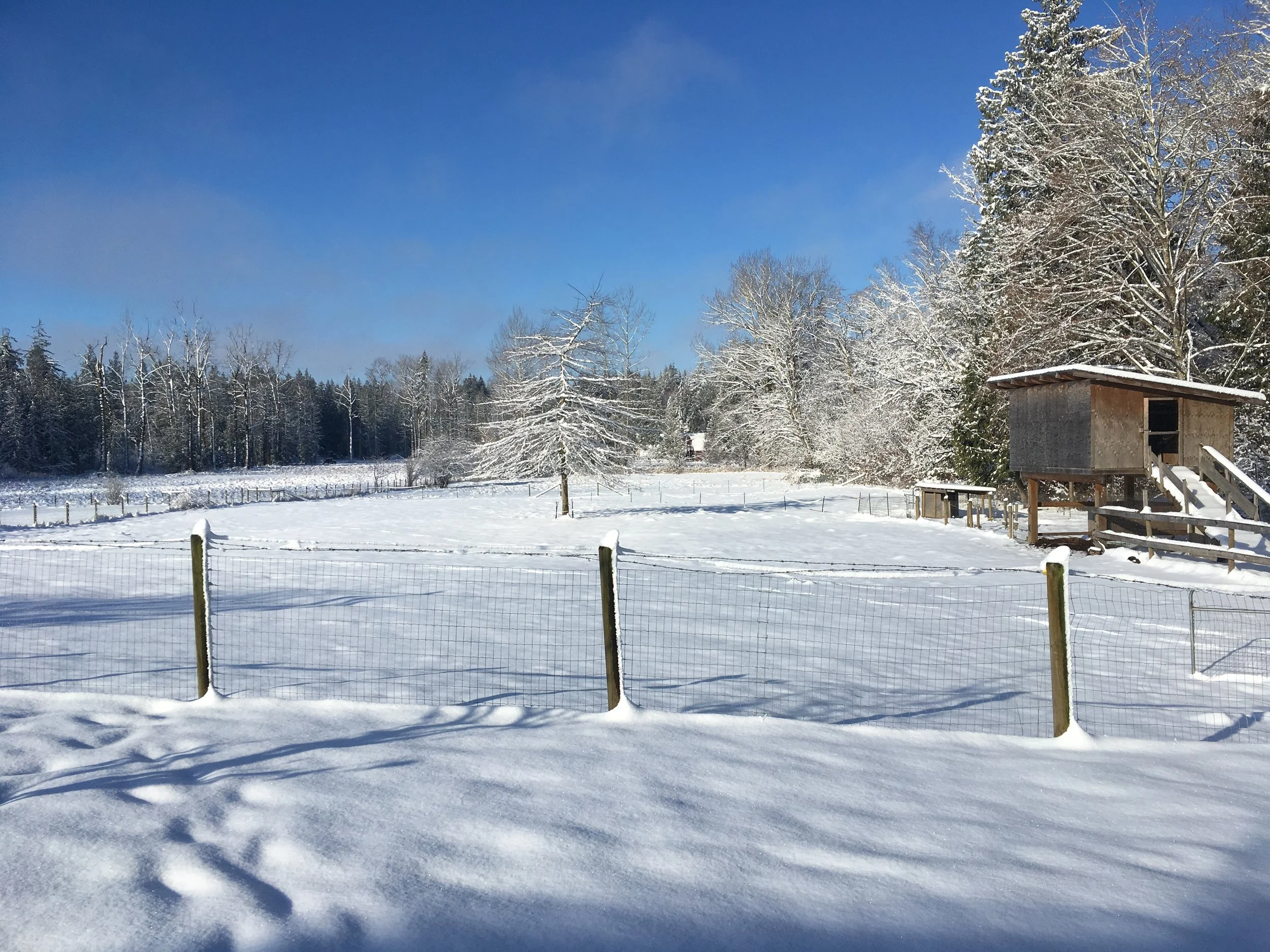 June Creek Farm