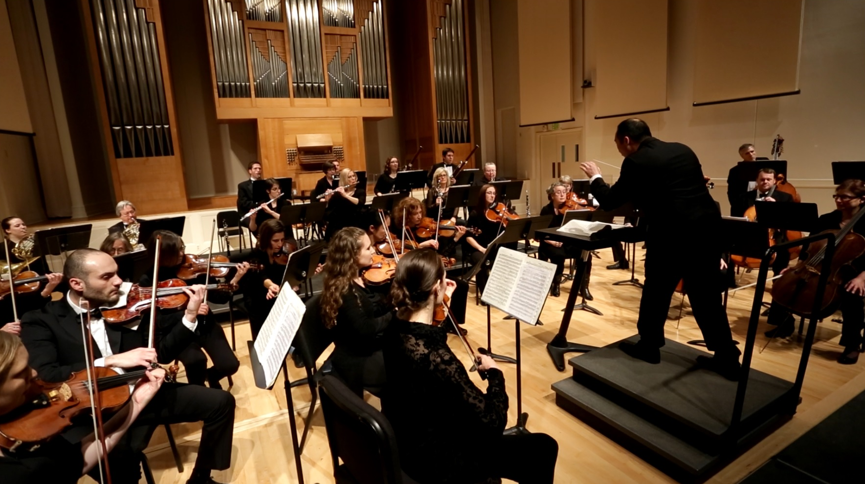 Orchestra Photo 3 Crop.png