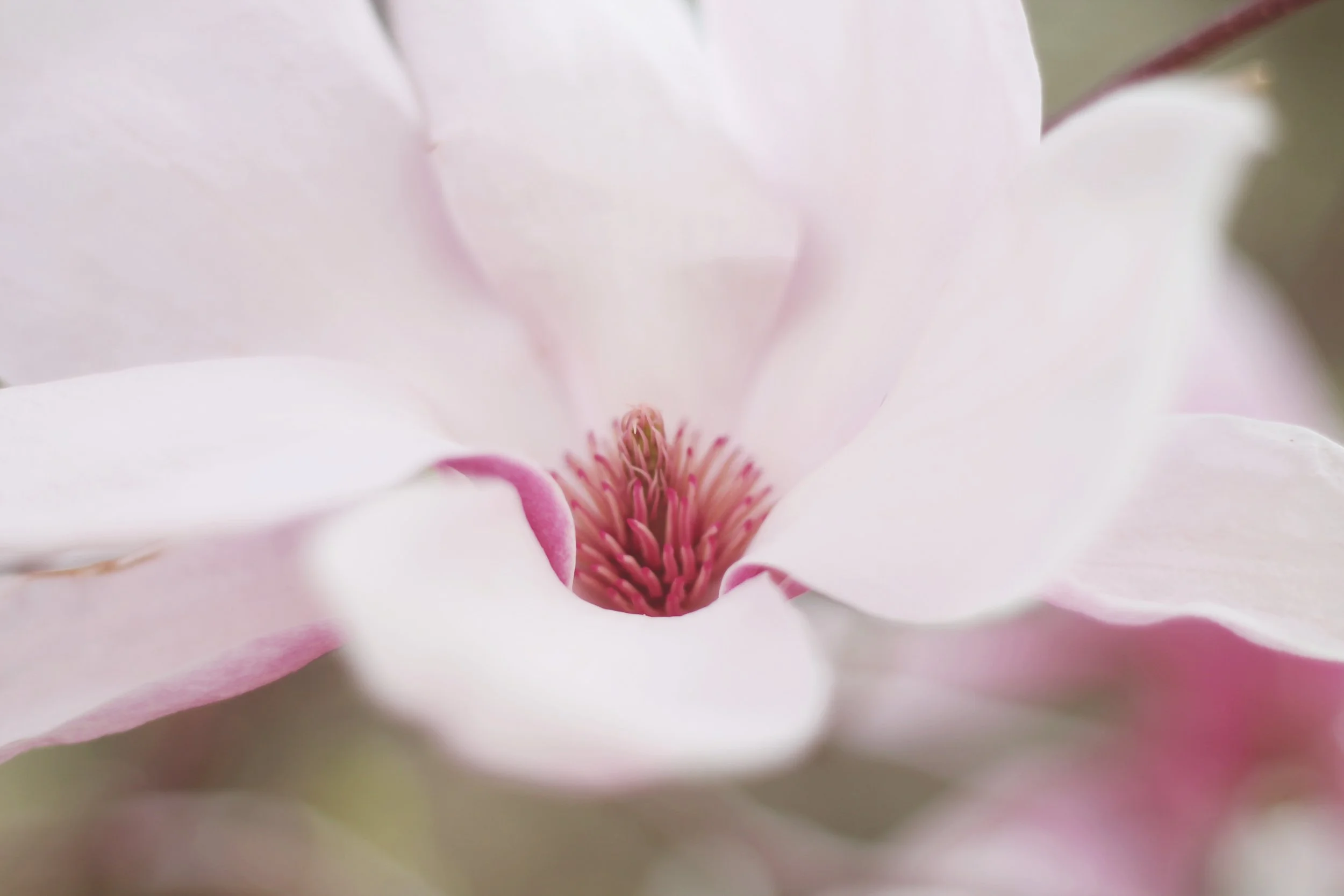 ATELIERDays April 2019