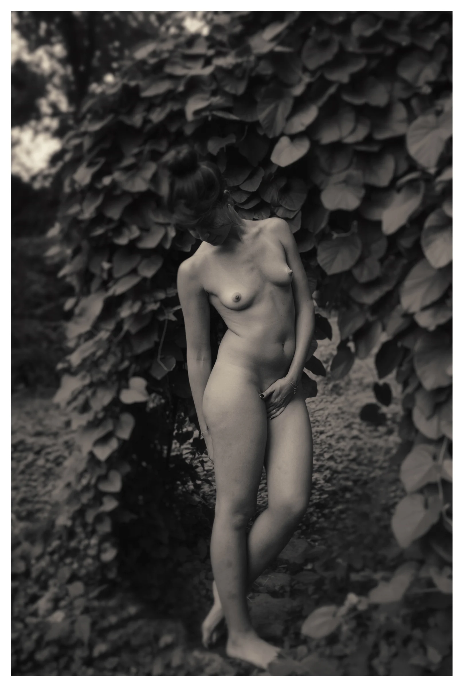 HI-hanane in the pipe vine.jpg