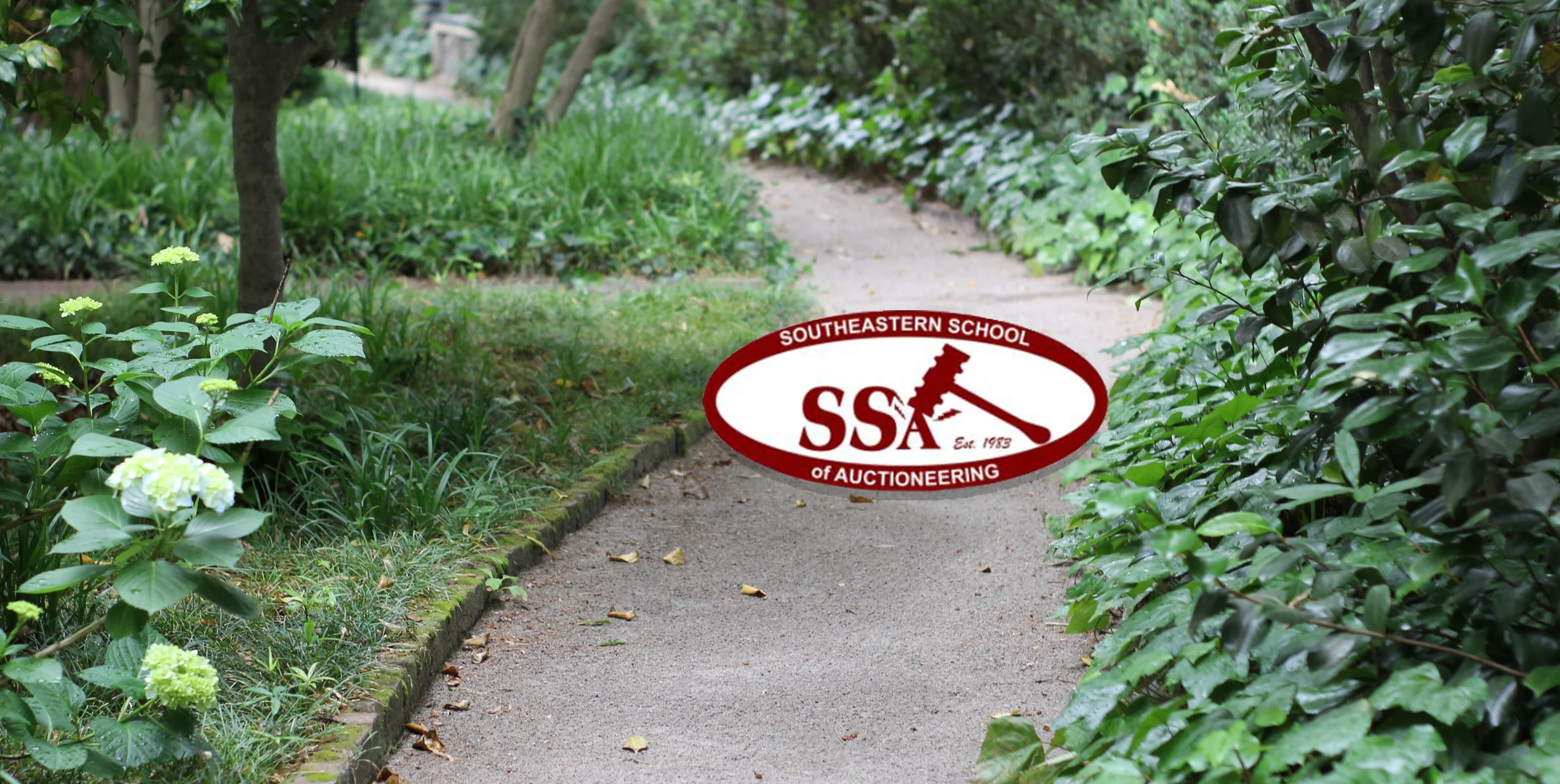 SSA Team Banner.jpg