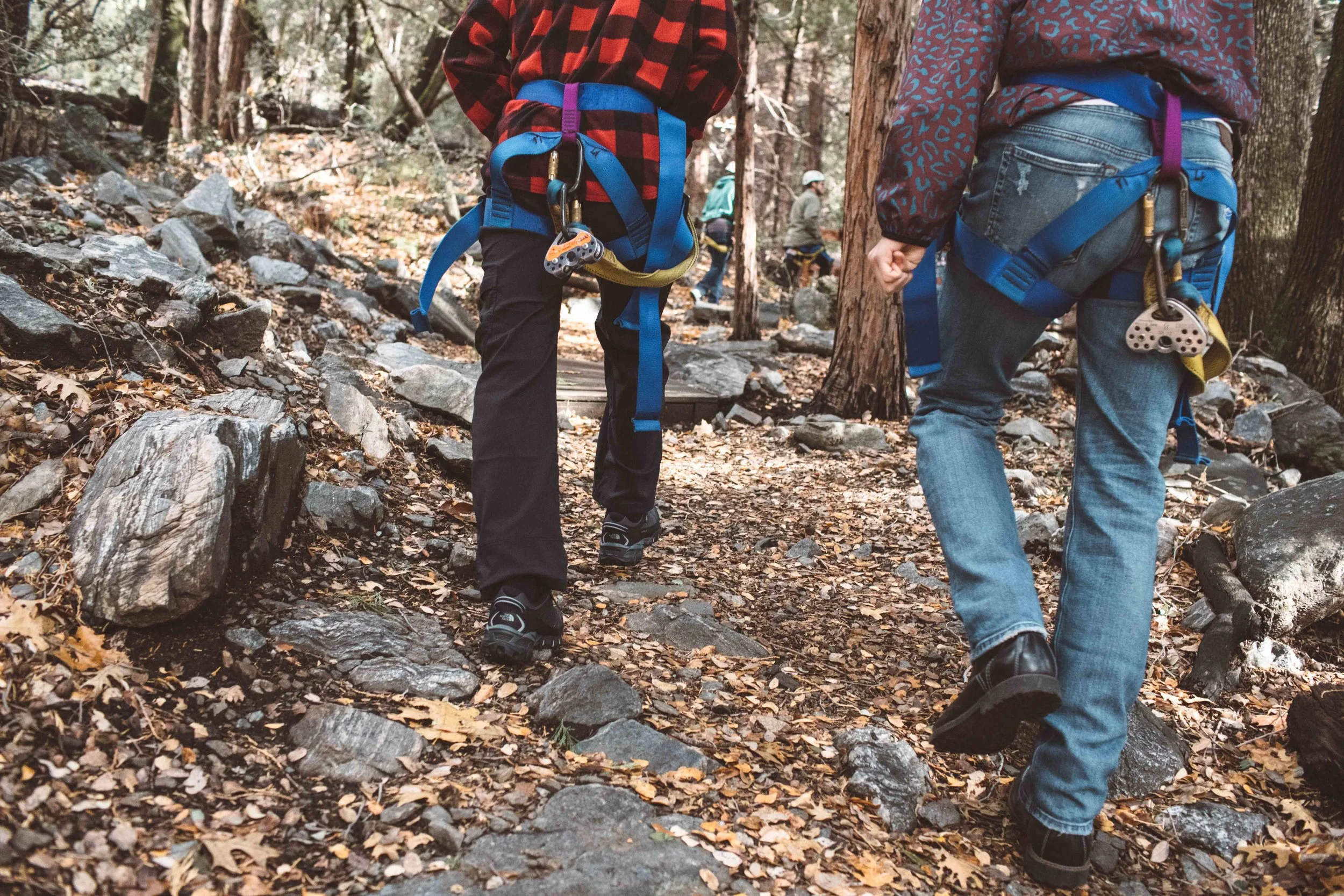 Events Saddleback Hsm