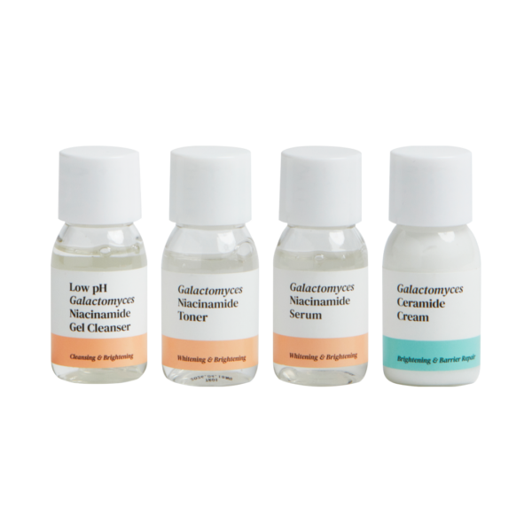 4pm Skin Care Mini Kit