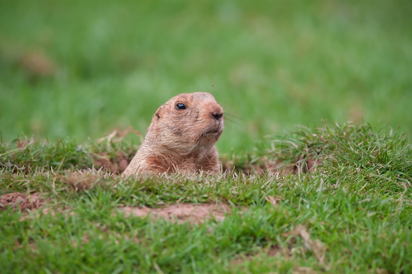 Anyone else feel like its been Groundhog Day since March 2020? 🤷🏼&zwj;♀️⁠
⁠