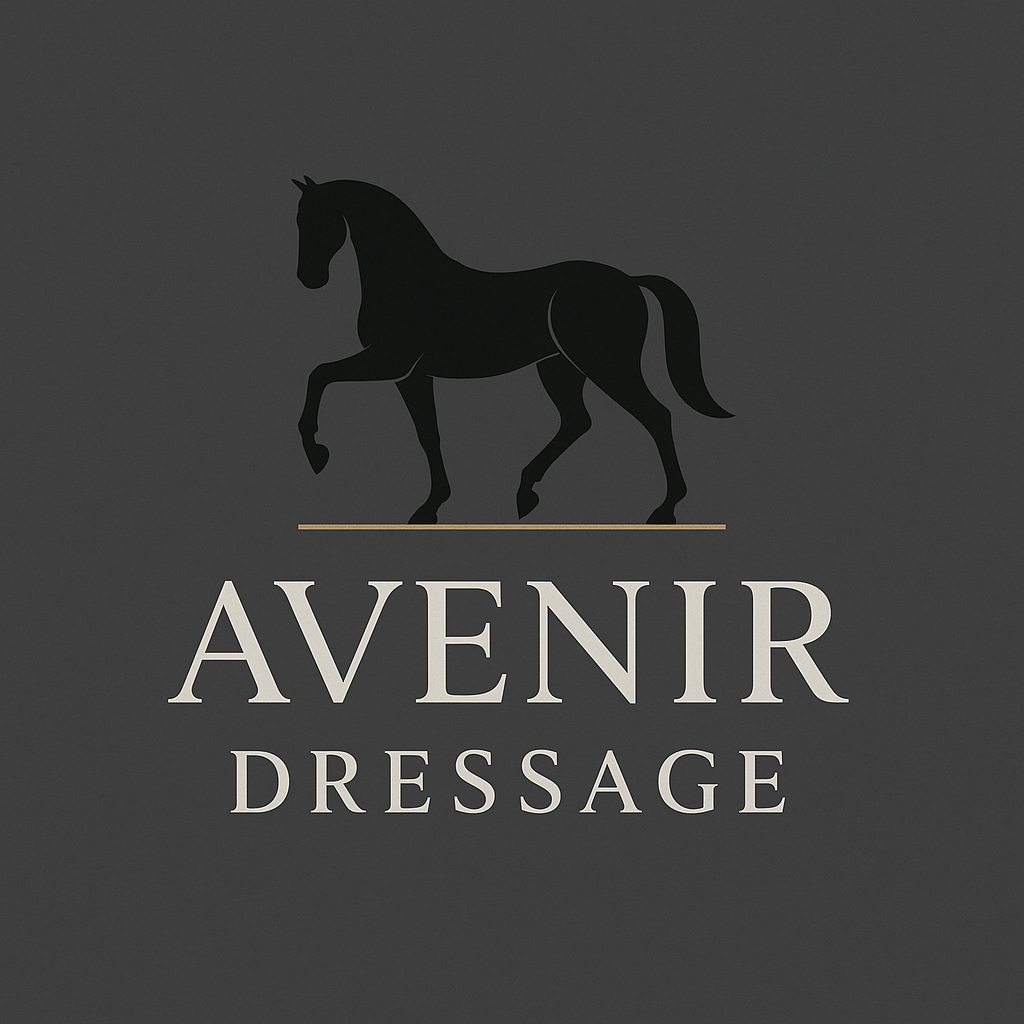 AVENIR DRESSAGE 