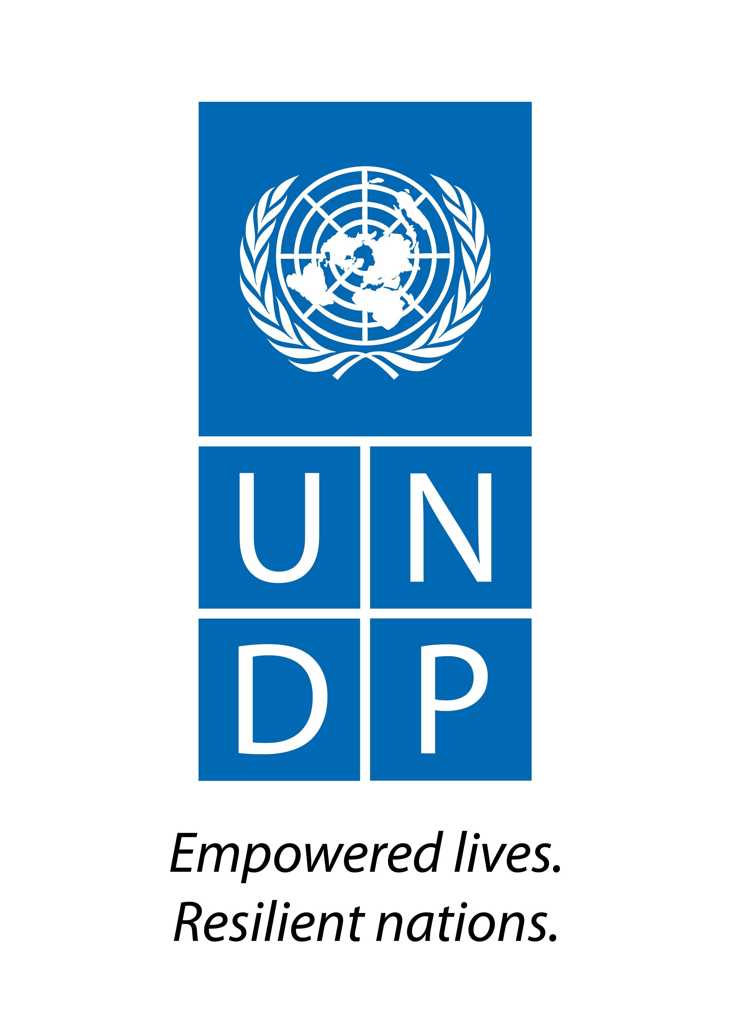 undp-logo.jpg
