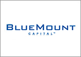 907733.logo-bluemount.jpg
