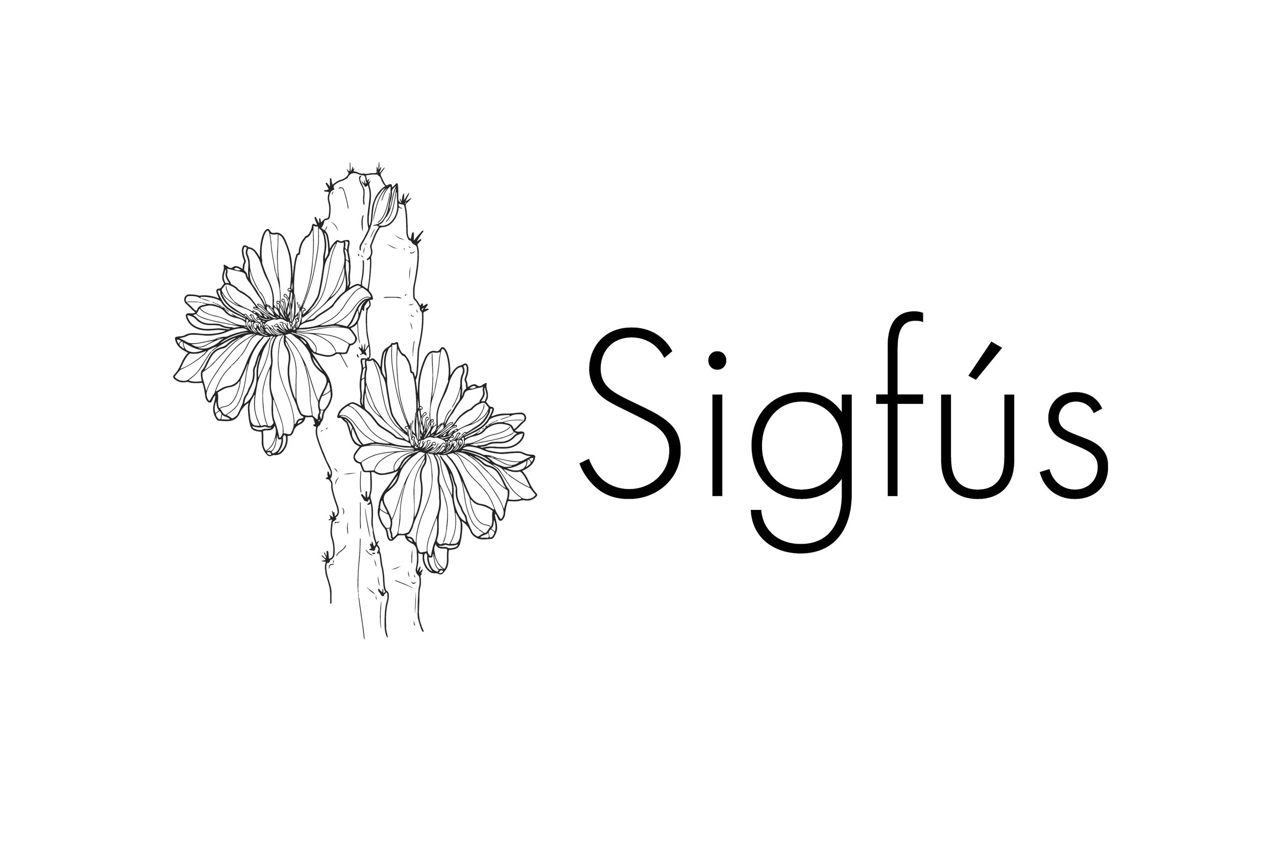 sigfus about web header.jpg