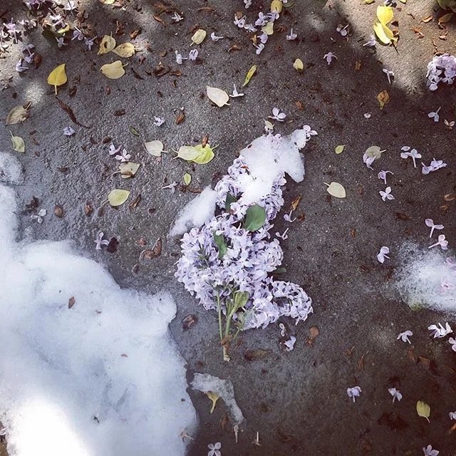 May snowstorm has me thinking about seasons. Sometimes all four intersect and I am reminded that life is much more circle than line.