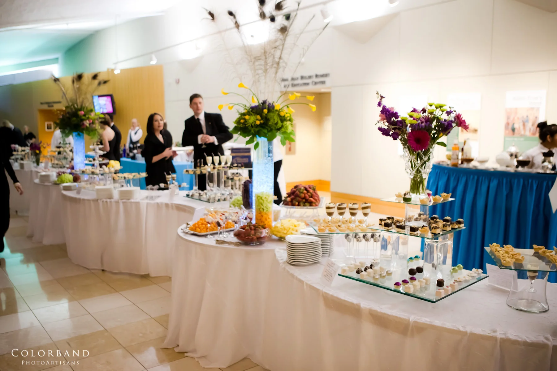 Colorband Photography