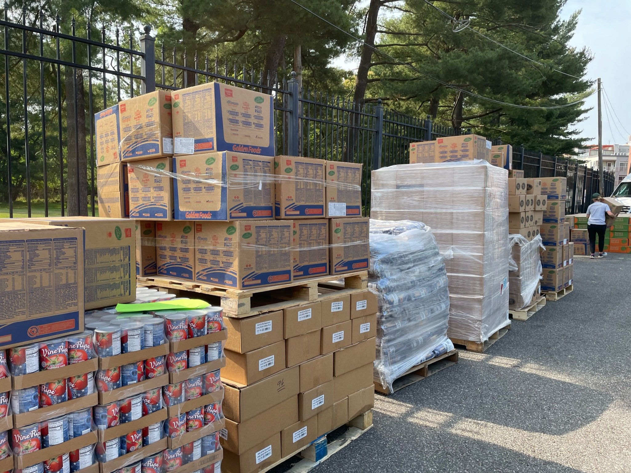 DCFP Food Distro 6:9:23.JPG