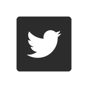 Twitter_400px.webp