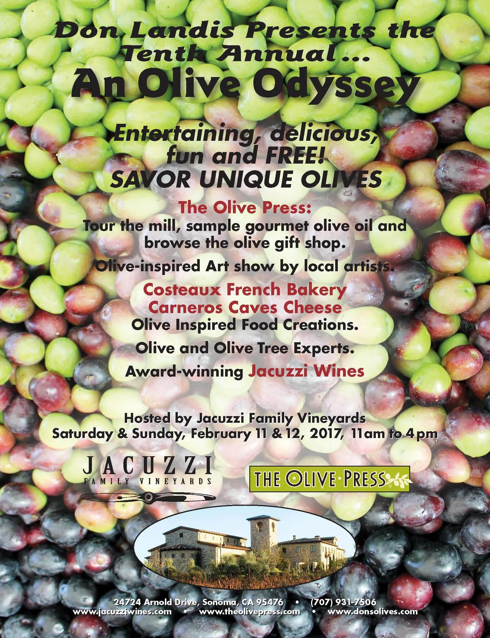 An Olive Odyssey
