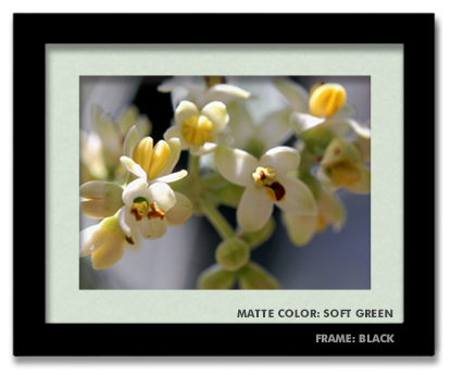 5x7--framed-black-soft-green.png