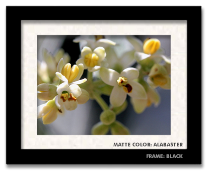 8x10-framed-black-alabaster.png