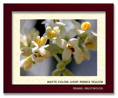 8x10-framed-fruitwood-light-pebble-yellow.png