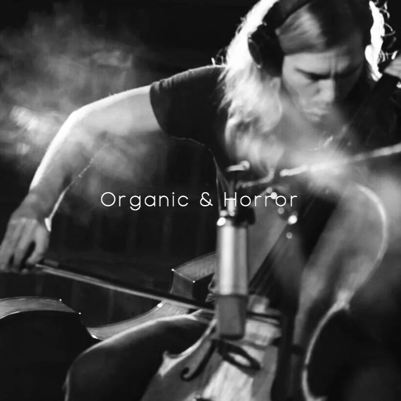 ORG+%26+HORROR.jpg