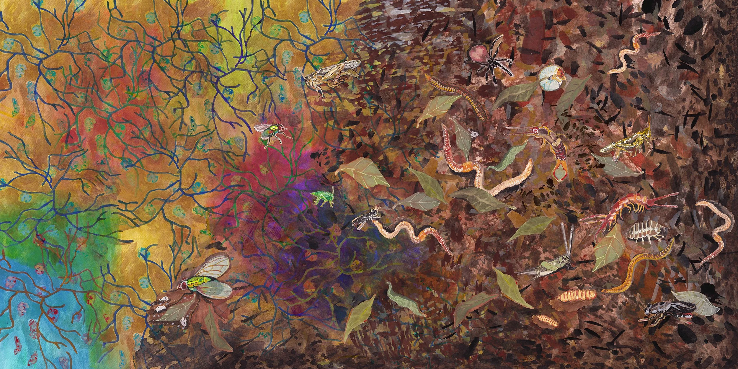 CP_Mycelium_WEB.jpg