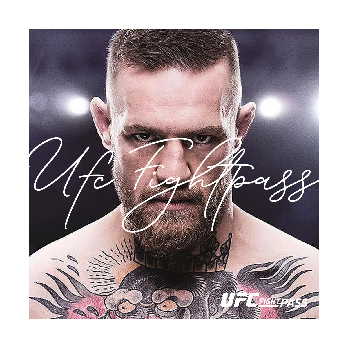 UFC Fight Pass website
