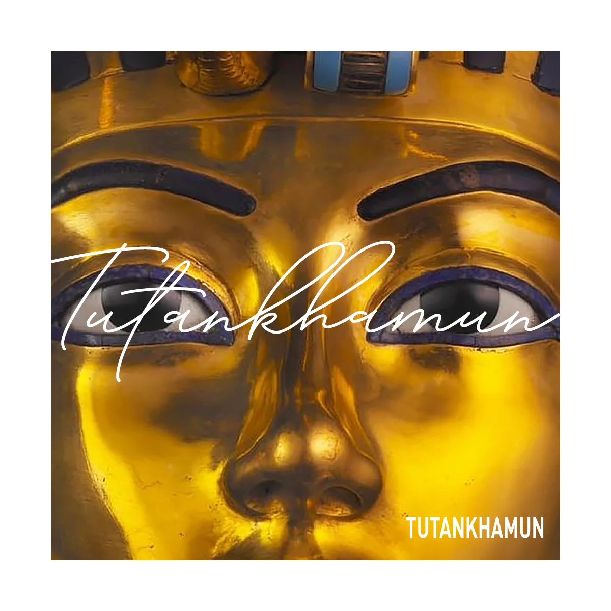 Tutankhamun website & digital campaigns
