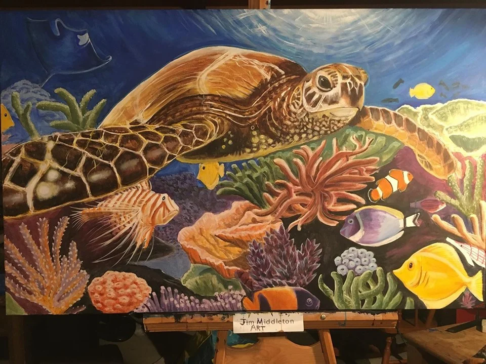 turtle.jpg