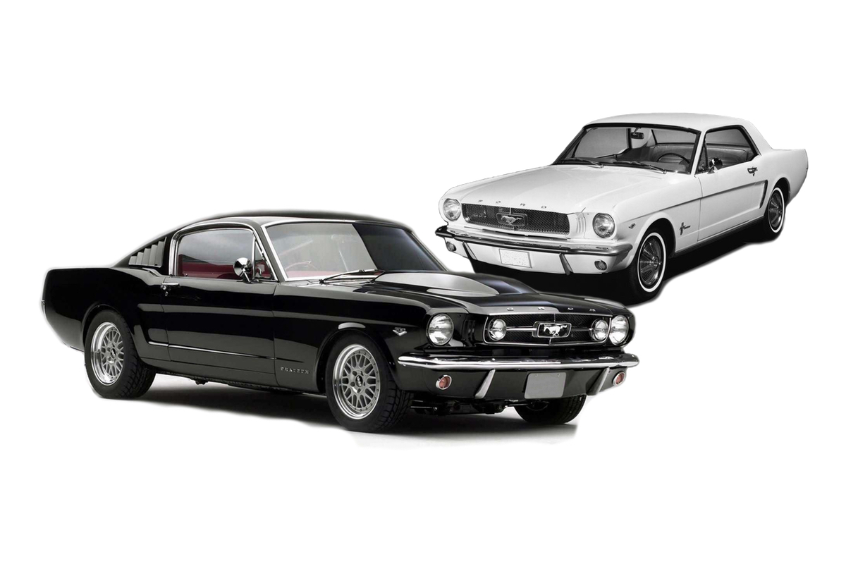 mustang_pair.jpg