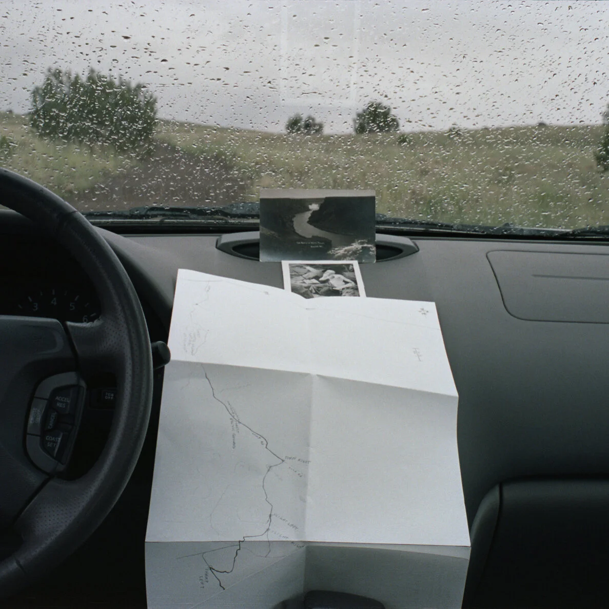 4PG014 - Midge Wattles