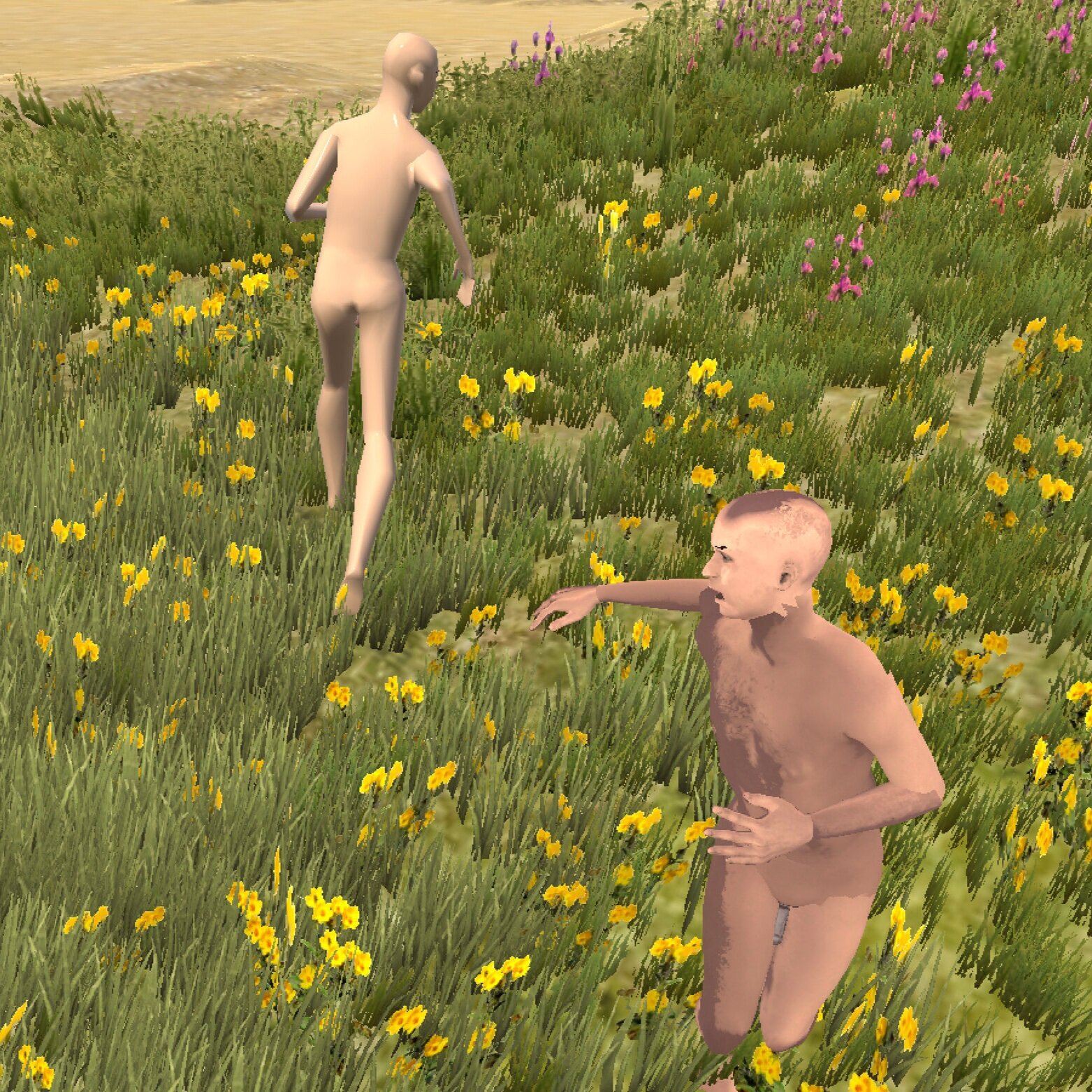 4PG021 - Foster Wattles