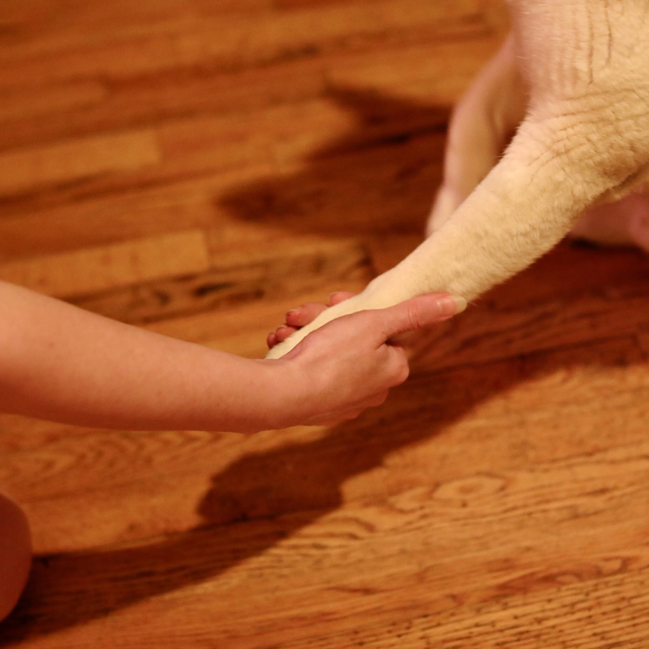 The Black Box Gets Bigger