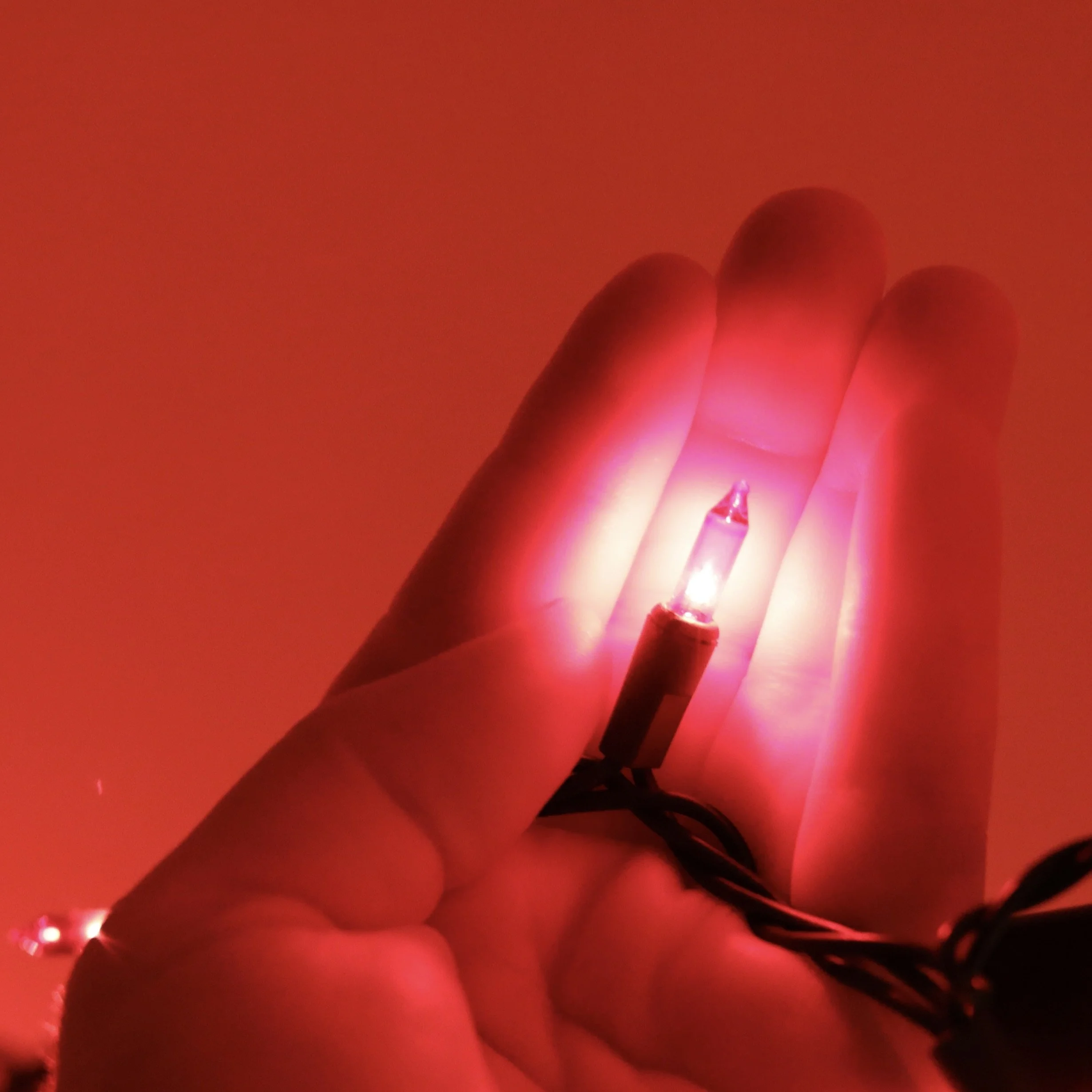 The Red-Eyed Bug of Byrgir