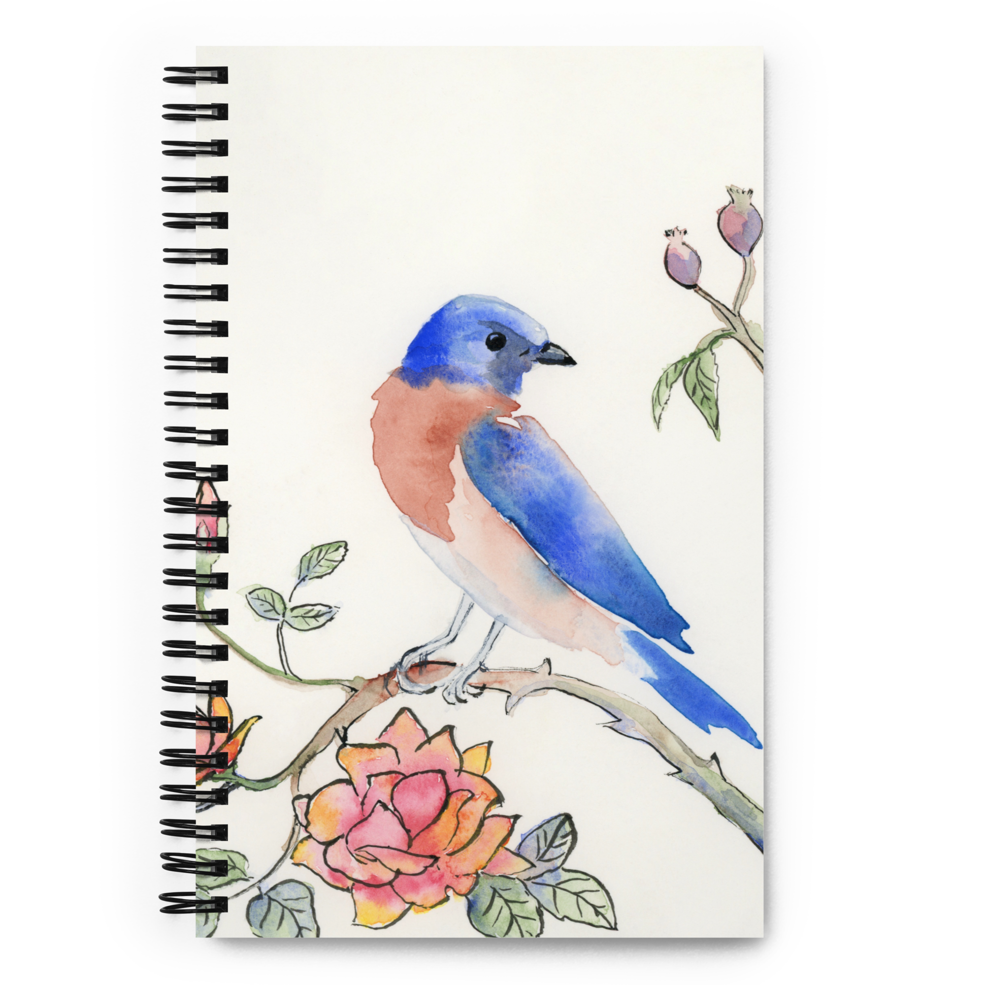 spiral-notebook-dotted-front-6a923adde1869.png