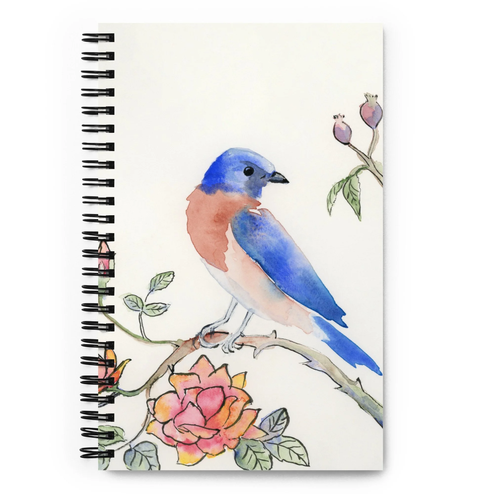 spiral-notebook-dotted-front-6ad7f742d78dd.jpg