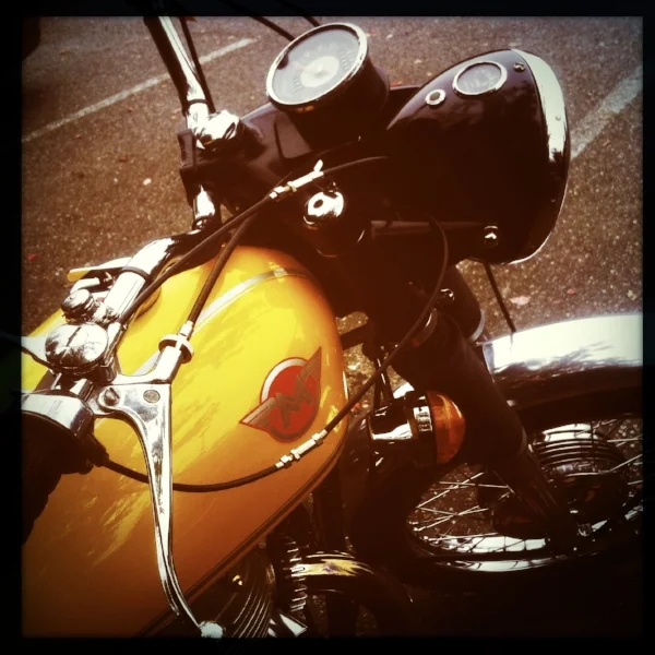 WVM February Meeting